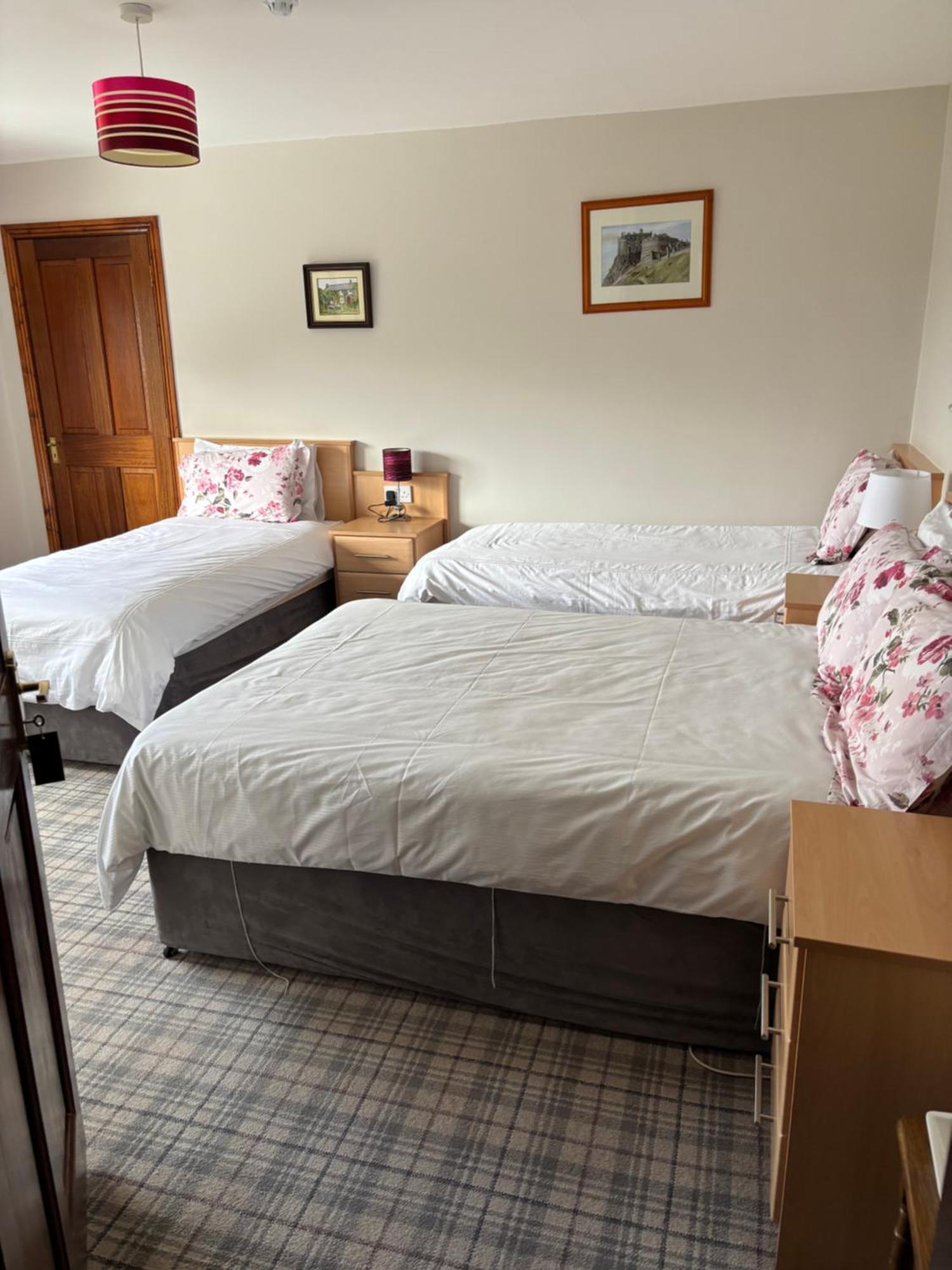 Ballindrum Farm B&B Athy Exterior foto