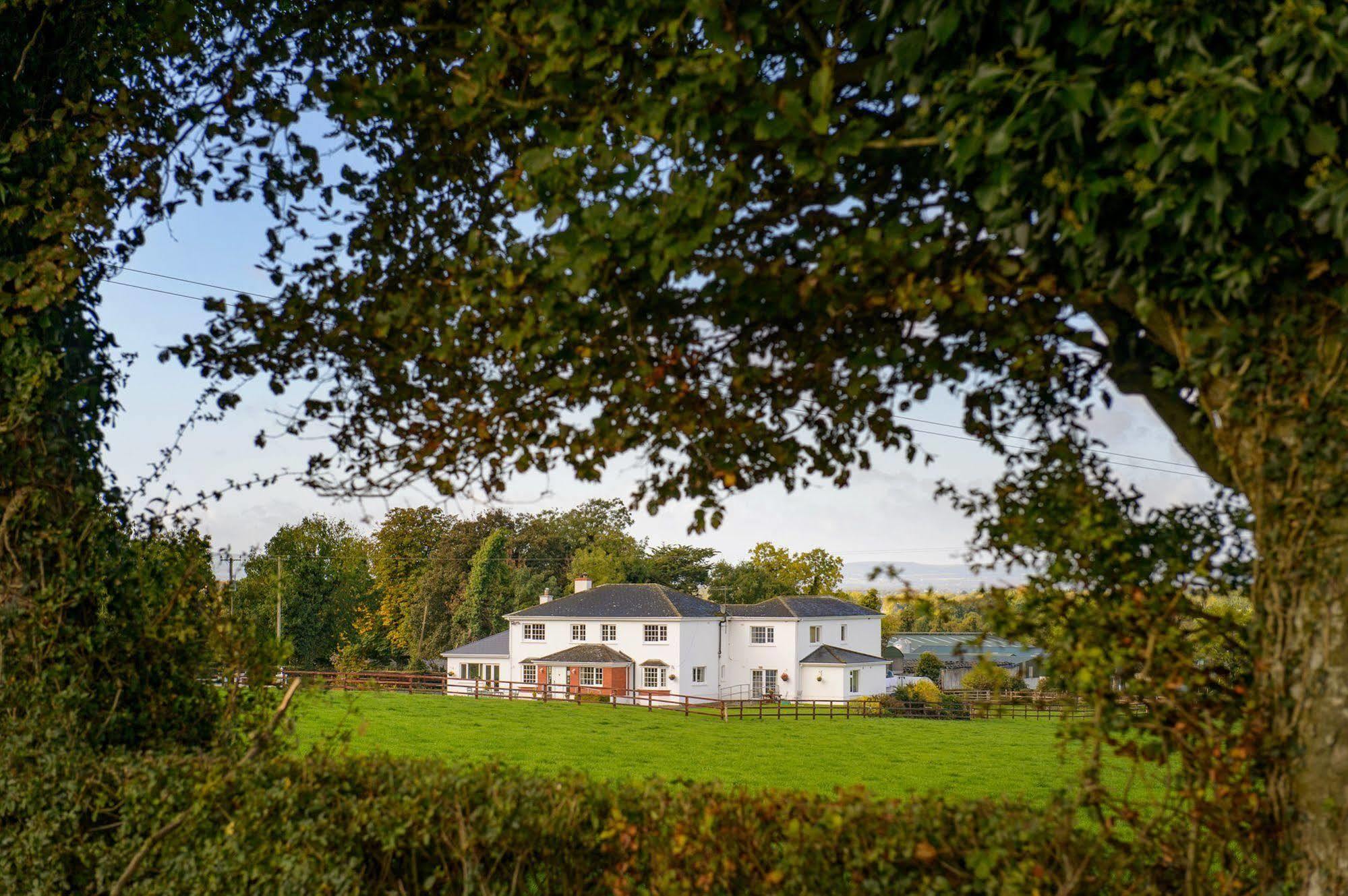 Ballindrum Farm B&B Athy Exterior foto